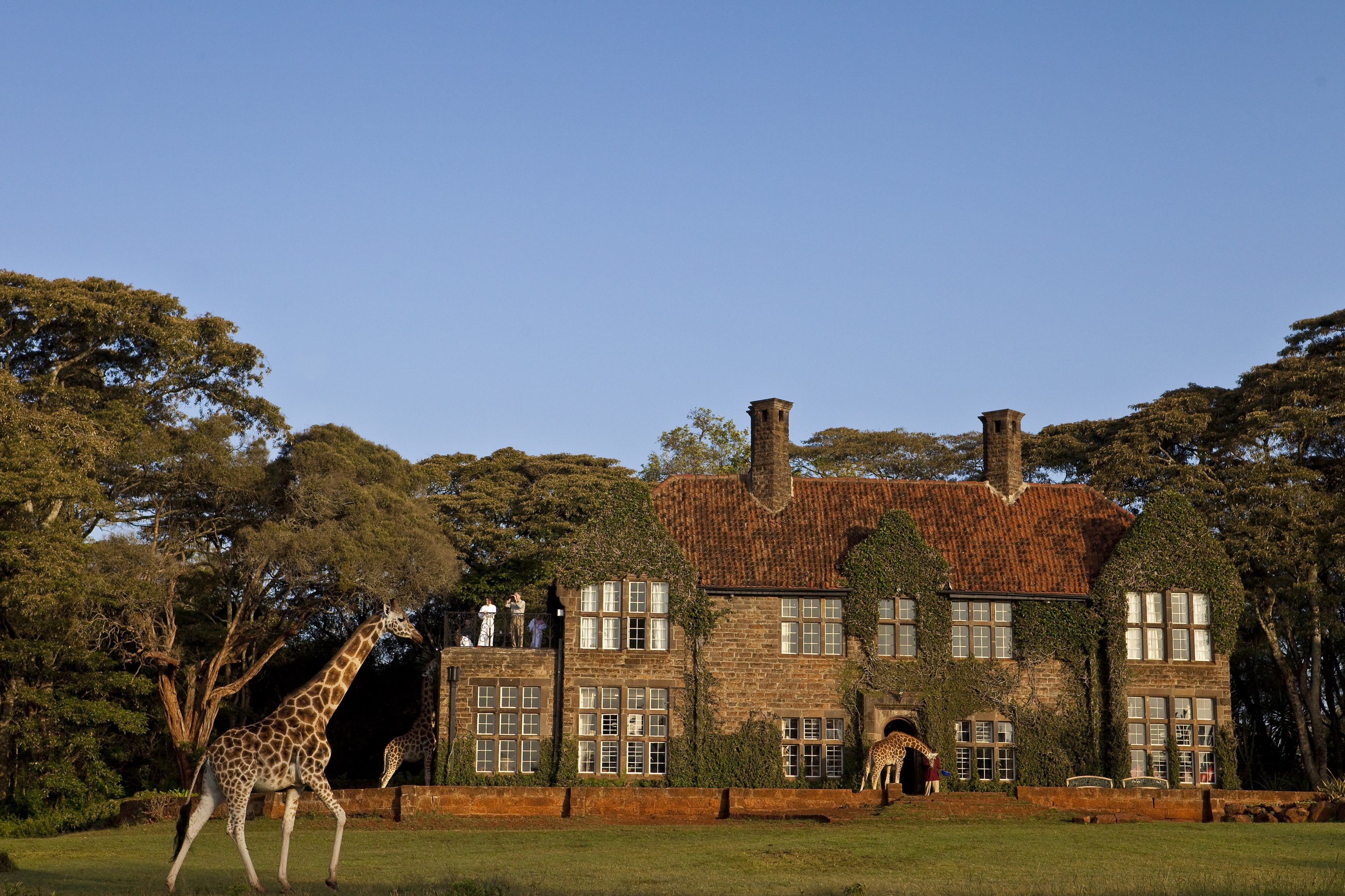 Giraffe Manor • Moxley & Co