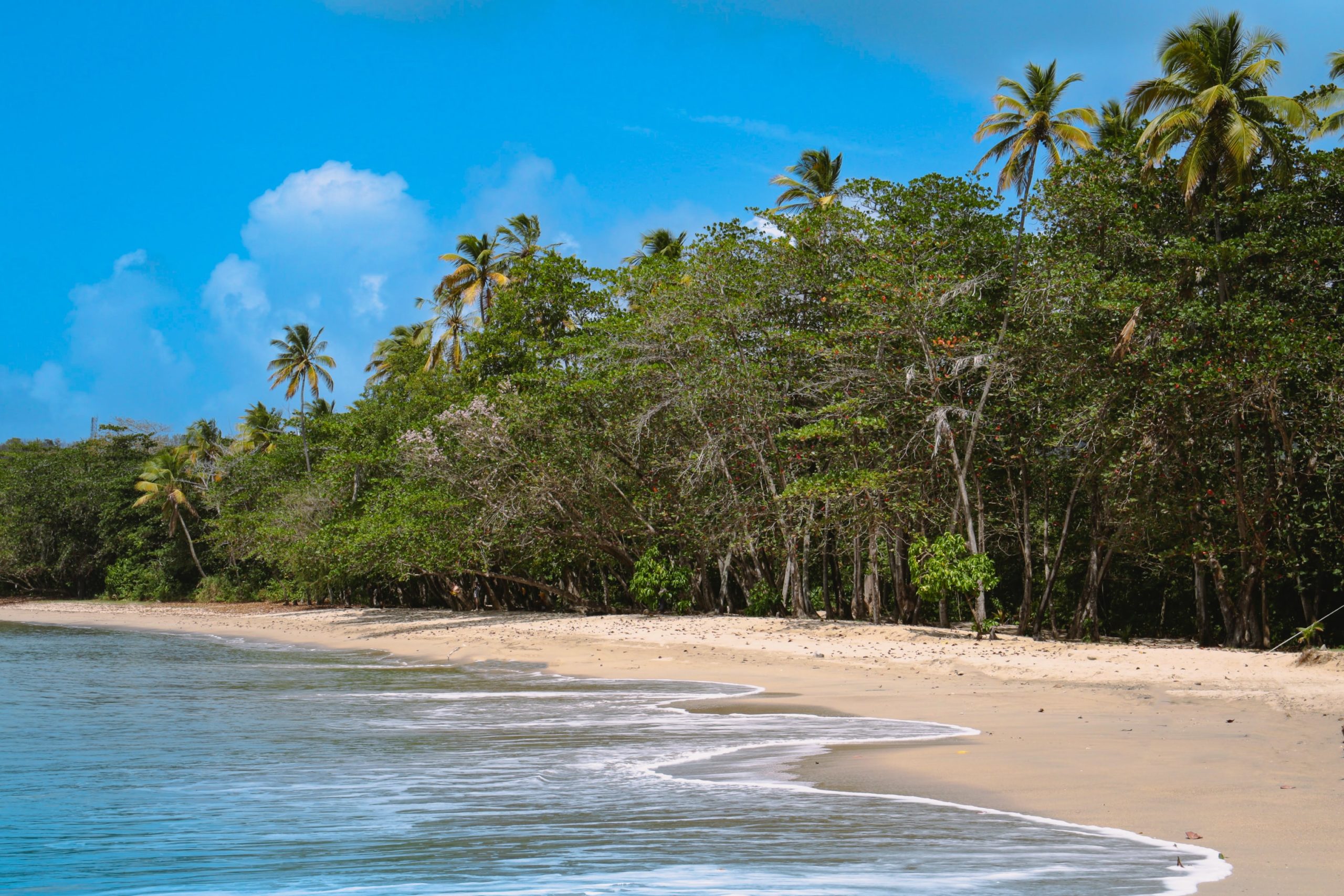 St. Lucia Holidays